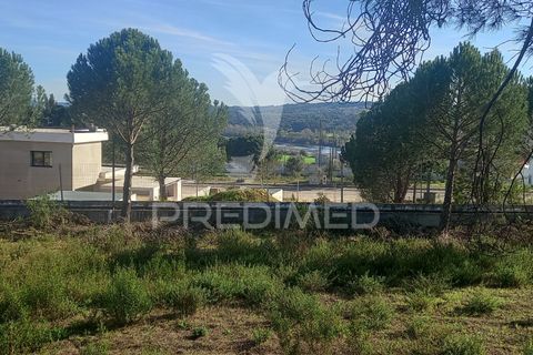 Terra a Constancia, Santarem, Constancia - € 40.000 | Ref: 043725 - foto 2
