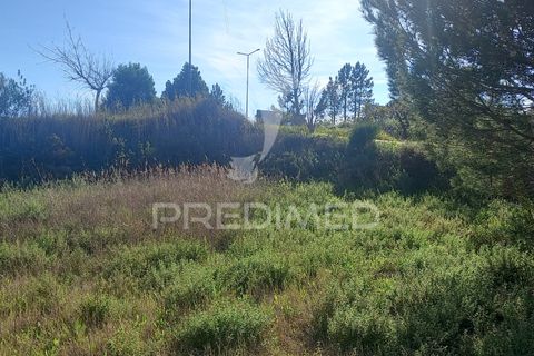 Terra a Constancia, Santarem, Constancia - € 40.000 | Ref: 043725 - foto 3
