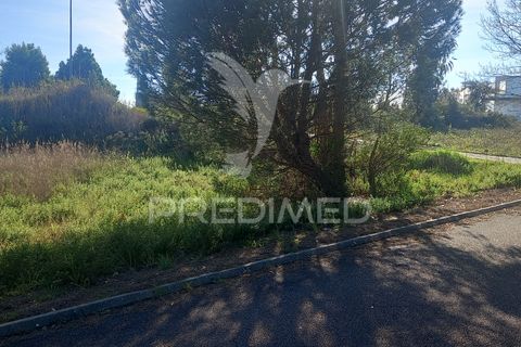 Terra a Constancia, Santarem, Constancia - € 40.000 | Ref: 043725 - foto 4