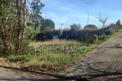 Terra a Constancia, Santarem, Constancia - € 40.000 | Ref: 043725 - foto 5