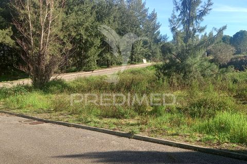 Helårsgrund i Constancia, Santarem, Constancia - € 39.000 | Ref: 043727 - foto 2