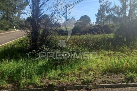 Helårsgrund i Constancia, Santarem, Constancia - € 39.000 | Ref: 043727 - foto 3