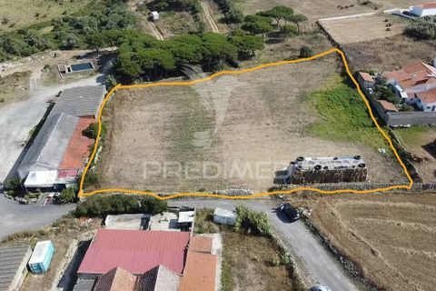 Helårsgrund i Sintra, Lisbon, Sintra - € 270.000 | Ref: 044239 - foto 1