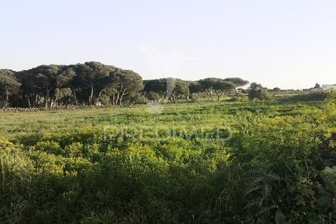 Helårsgrund i Sintra, Lisbon, Sintra - € 270.000 | Ref: 044239 - foto 4
