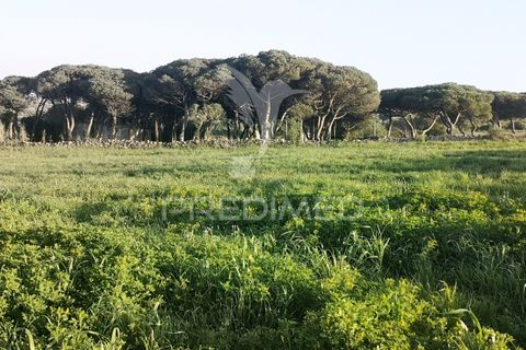 Helårsgrund i Sintra, Lisbon, Sintra - € 270.000 | Ref: 044239 - foto 9