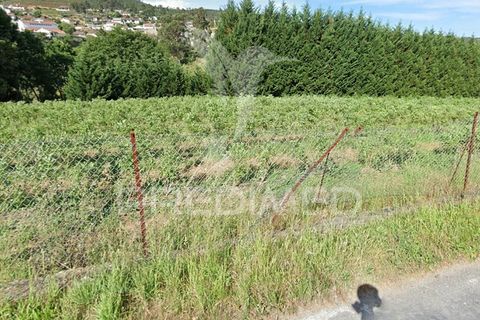 Helårsgrund i Paredes, Porto, Paredes - € 180.000 | Ref: 044638 - foto 2
