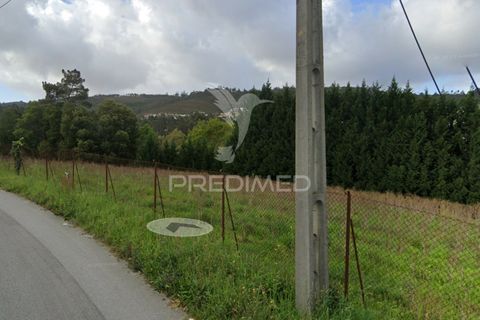 Helårsgrund i Paredes, Porto, Paredes - € 180.000 | Ref: 044638 - foto 5