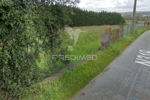 Helårsgrund i Paredes, Porto, Paredes - € 180.000 | Ref: 044638 - foto 6