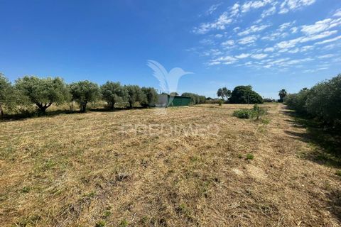Byhus i Azambuja, Lisbon, Azambuja - € 67.000 | Ref: 044860 - foto 6