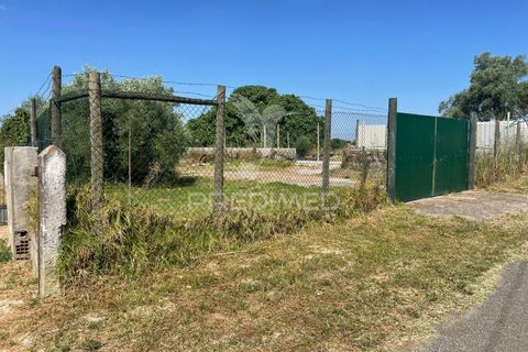 Byhus i Azambuja, Lisbon, Azambuja - € 67.000 | Ref: 044860 - foto 9