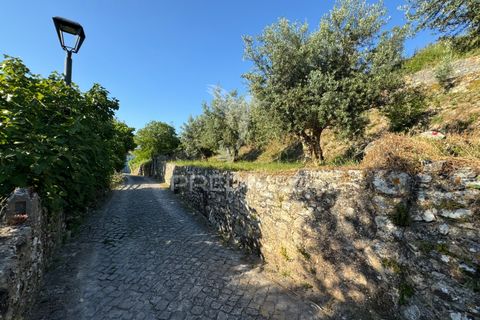 Helårsgrund i Ourem, Santarem, Ourem - € 55.000 | Ref: 045206 - foto 3