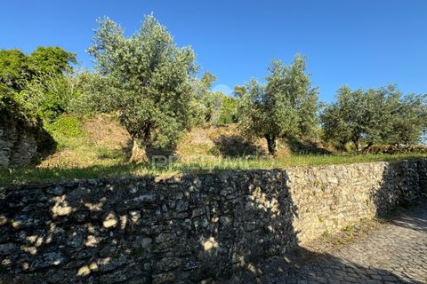 Helårsgrund i Ourem, Santarem, Ourem - € 55.000 | Ref: 045206 - foto 4
