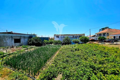 Byhus i Castro Verde, Beja, Castro Verde - € 140.000 | Ref: 045583 - foto 1