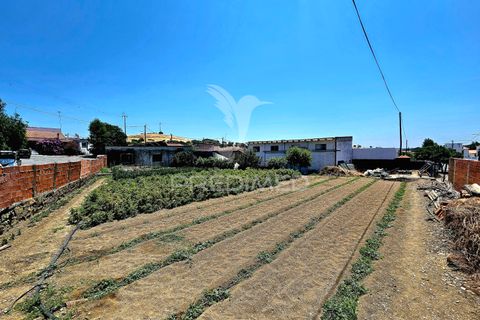 Byhus i Castro Verde, Beja, Castro Verde - € 140.000 | Ref: 045583 - foto 2