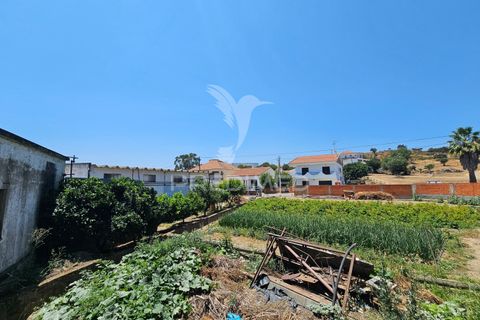 Byhus i Castro Verde, Beja, Castro Verde - € 140.000 | Ref: 045583 - foto 16