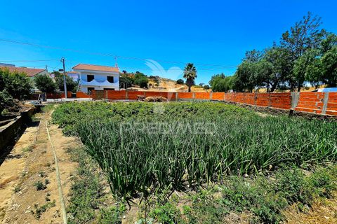 Byhus i Castro Verde, Beja, Castro Verde - € 140.000 | Ref: 045583 - foto 17