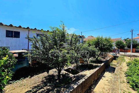Byhus i Castro Verde, Beja, Castro Verde - € 140.000 | Ref: 045583 - foto 18