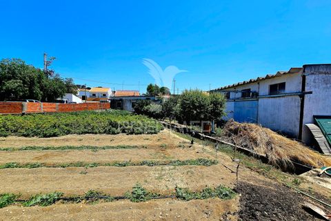 Byhus i Castro Verde, Beja, Castro Verde - € 140.000 | Ref: 045583 - foto 19