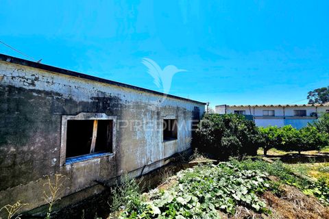 Byhus i Castro Verde, Beja, Castro Verde - € 140.000 | Ref: 045583 - foto 29