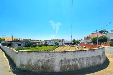 Byhus i Castro Verde, Beja, Castro Verde - € 140.000 | Ref: 045583 - foto 31