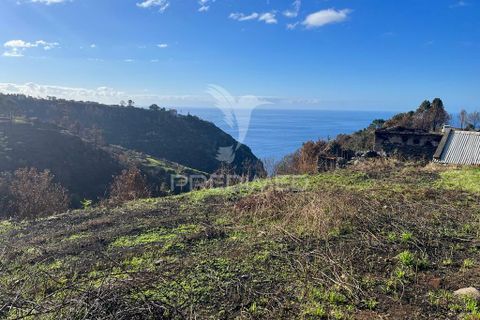 Masia a Calheta, Madeira, Calheta - € 105.000 | Ref: 045660 - foto 3