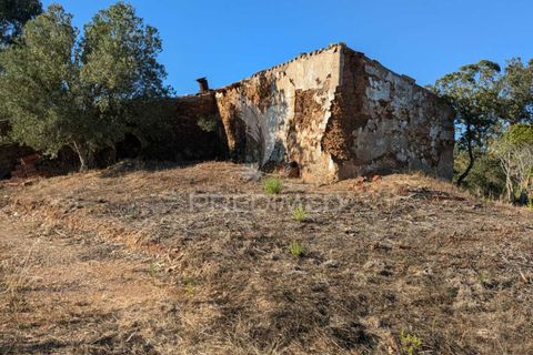 Helårsgrund i Silves, Faro, Silves - € 140.000 | Ref: 046106 - foto 13