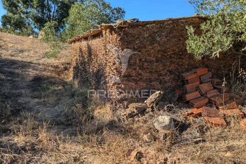 Helårsgrund i Silves, Faro, Silves - € 140.000 | Ref: 046106 - foto 14