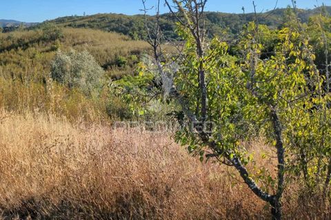 Helårsgrund i Silves, Faro, Silves - € 140.000 | Ref: 046106 - foto 17