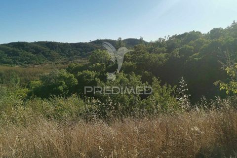 Helårsgrund i Silves, Faro, Silves - € 140.000 | Ref: 046106 - foto 23