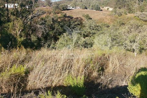 Helårsgrund i Silves, Faro, Silves - € 140.000 | Ref: 046106 - foto 29