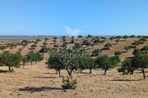 Helårsgrund i Castro Marim, Faro, Castro Marim - € 2.500.000 | Ref: 046152 - foto 8