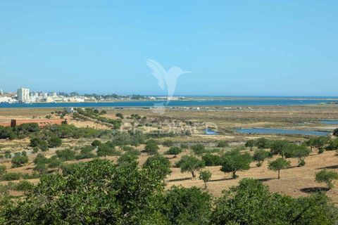 Helårsgrund i Castro Marim, Faro, Castro Marim - € 2.500.000 | Ref: 046152 - foto 11