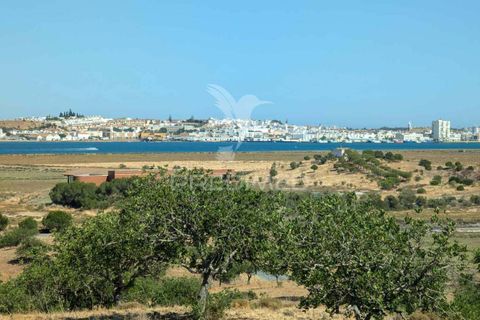 Helårsgrund i Castro Marim, Faro, Castro Marim - € 2.500.000 | Ref: 046152 - foto 16
