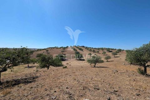 Helårsgrund i Castro Marim, Faro, Castro Marim - € 2.500.000 | Ref: 046152 - foto 23