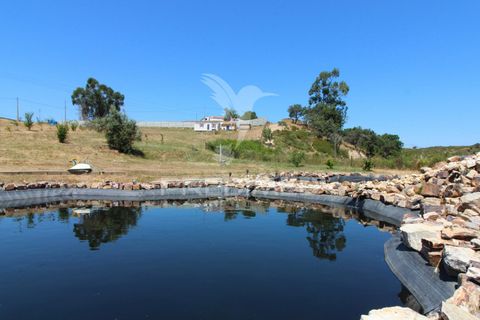 Helårsgrund i Odemira, Beja, Odemira - € 99.000 | Ref: 046475 - foto 10