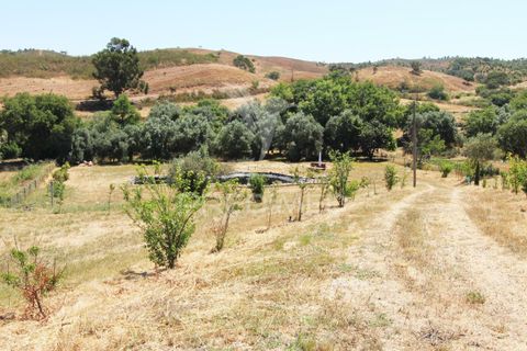 Helårsgrund i Odemira, Beja, Odemira - € 99.000 | Ref: 046475 - foto 11