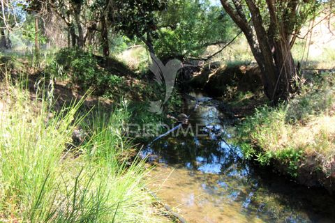 Helårsgrund i Odemira, Beja, Odemira - € 99.000 | Ref: 046475 - foto 12