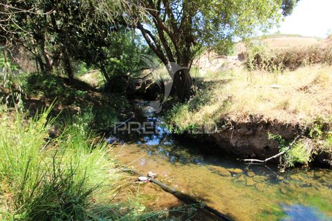 Helårsgrund i Odemira, Beja, Odemira - € 99.000 | Ref: 046475 - foto 13