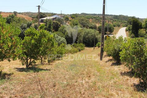 Helårsgrund i Odemira, Beja, Odemira - € 99.000 | Ref: 046475 - foto 14