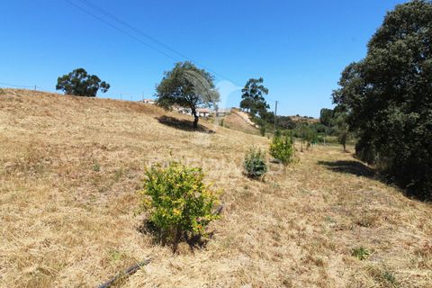 Helårsgrund i Odemira, Beja, Odemira - € 99.000 | Ref: 046475 - foto 15