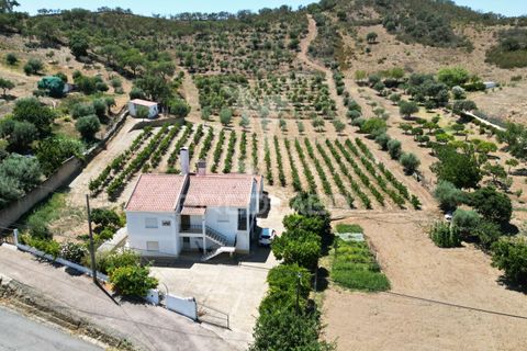Byhus i Odemira, Beja, Odemira - € 350.000 | Ref: 046766 - foto 2