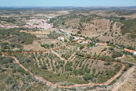 Byhus i Odemira, Beja, Odemira - € 350.000 | Ref: 046766 - foto 7