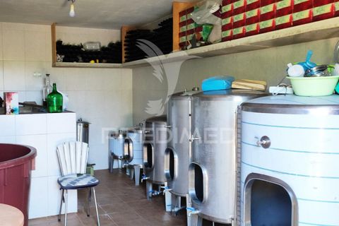 Byhus i Odemira, Beja, Odemira - € 350.000 | Ref: 046766 - foto 13
