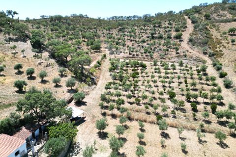 Byhus i Odemira, Beja, Odemira - € 350.000 | Ref: 046766 - foto 24