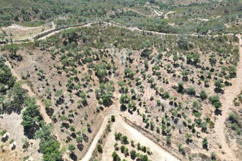 Byhus i Odemira, Beja, Odemira - € 350.000 | Ref: 046766 - foto 25