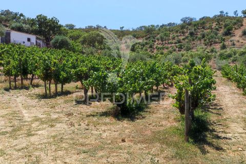 Byhus i Odemira, Beja, Odemira - € 350.000 | Ref: 046766 - foto 26