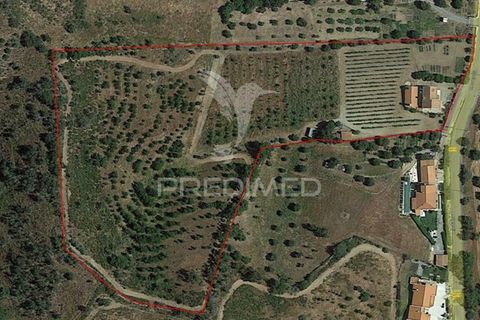 Byhus i Odemira, Beja, Odemira - € 350.000 | Ref: 046766 - foto 29