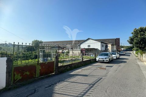 Helårsgrund i Guimaraes, Braga, Guimaraes - € 154.000 | Ref: 046795 - foto 18