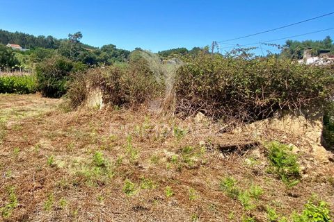 Ruinere i Rio Maior, Santarem, Rio Maior - € 44.000 | Ref: 046831 - foto 2