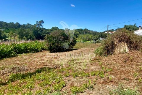 Ruinere i Rio Maior, Santarem, Rio Maior - € 44.000 | Ref: 046831 - foto 3